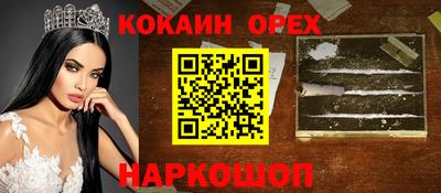стаф Гатчина