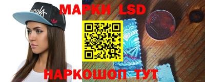стаф Гатчина