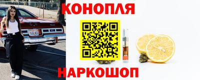 ГАЛЛЮЦИНОГЕННЫЕ ГРИБЫ Гагарин