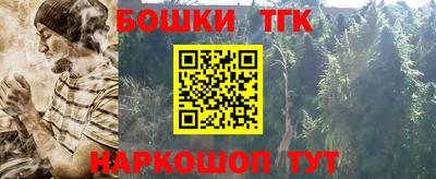 стаф Гатчина