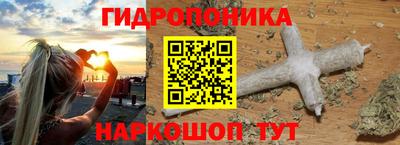стаф Гатчина