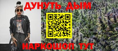 стаф Гатчина