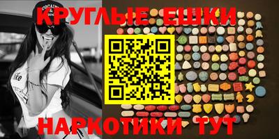 стаф Гатчина