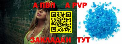 стаф Гатчина