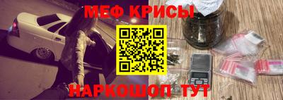 стаф Гатчина