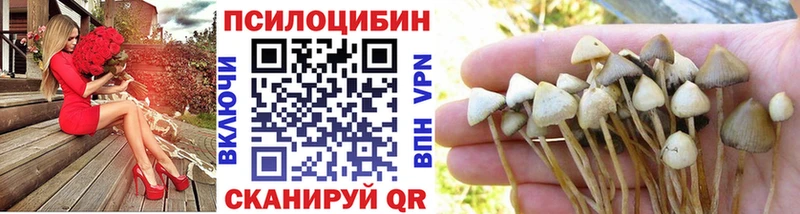 Псилоцибиновые грибы ЛСД Каспийск