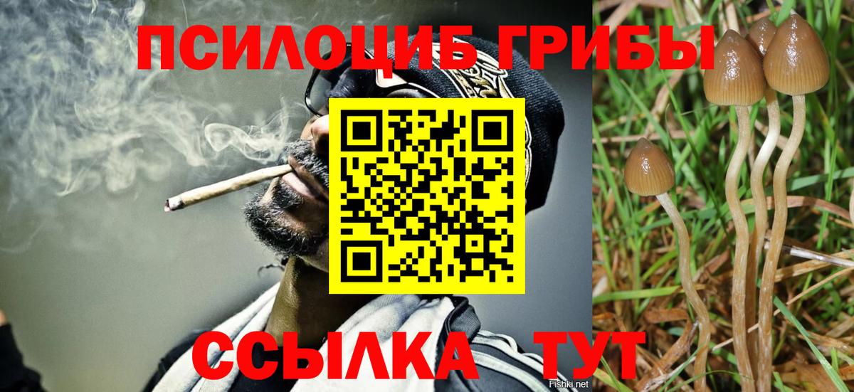 Галлюциногенные грибы MAGIC MUSHROOMS  продажа наркотиков  Каспийск  Вход с VPN 
