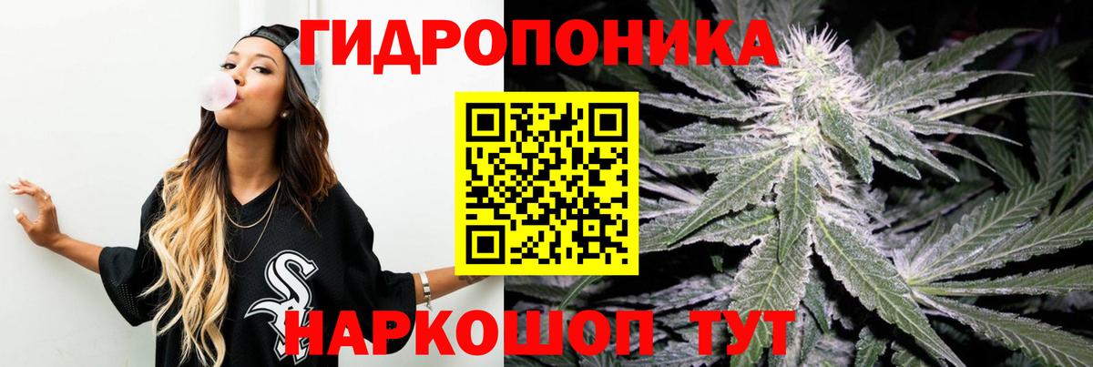 Бошки Шишки SATIVA & INDICA Каспийск